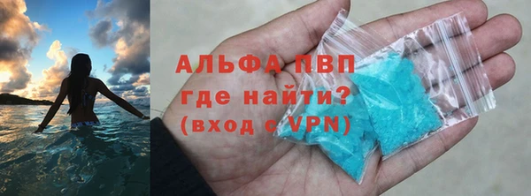 стаф Белокуриха