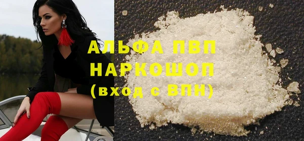 стаф Белокуриха