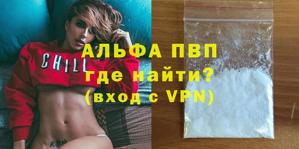 стаф Белокуриха
