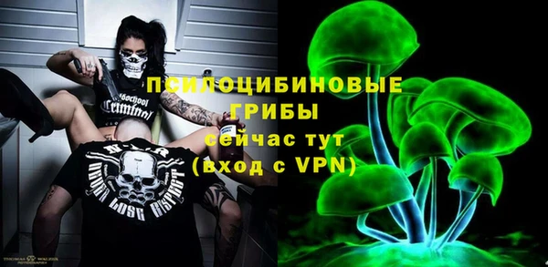 стаф Белокуриха