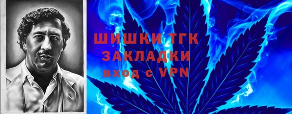 стаф Белокуриха