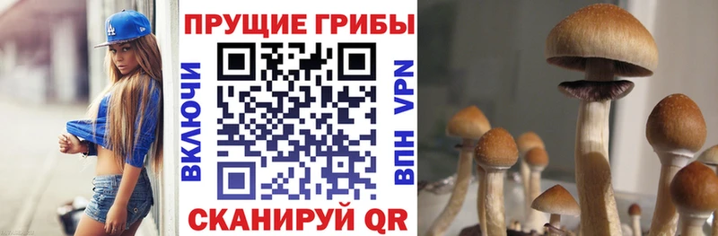 Галлюциногенные грибы прущие грибы Валуйки